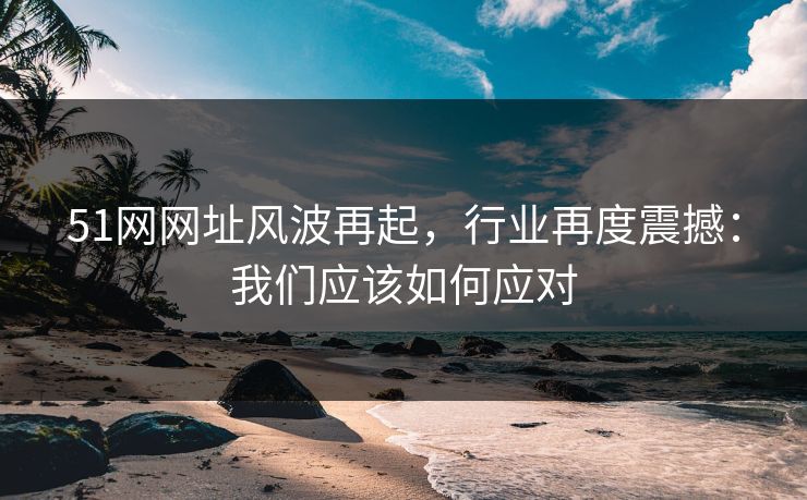 51网网址风波再起，行业再度震撼：我们应该如何应对