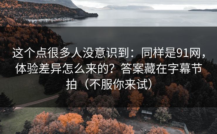 这个点很多人没意识到：同样是91网，体验差异怎么来的？答案藏在字幕节拍（不服你来试）